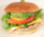 Turkey Burger Special (Only)