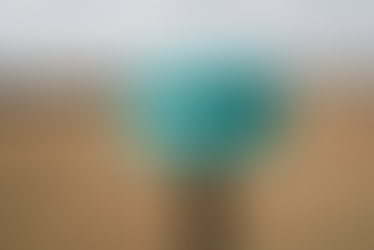 KP Pride's New AI Driven Video Tools