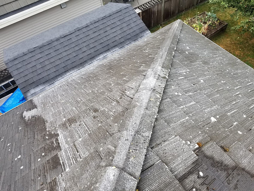 Roof Washing in Chilliwack