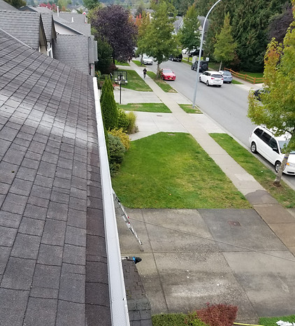 20201008_141919.jpg