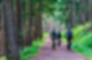 Natur und Flair