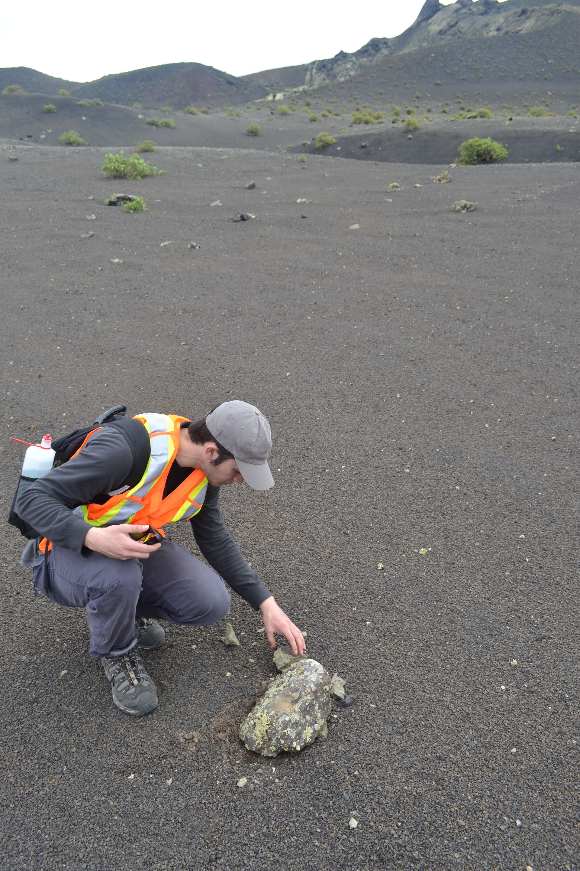 Field Work