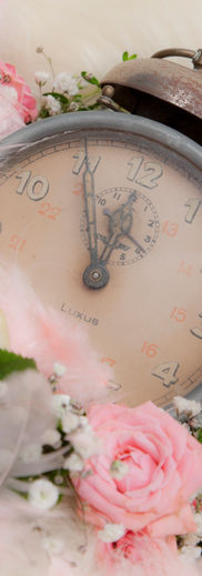 Babybauch, Schwangerschaft, Kinder, Baby, Fotografie, Portrait