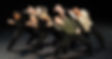 blackbirds close up amsterdans 2023.jpeg