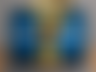 SAP Activate. Real Results.