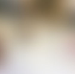 Try-out Shitmuseum op Kunstroute.