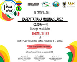 KAREN TATIANA MOLINA SUÁREZ_Mesa de trabajo 1