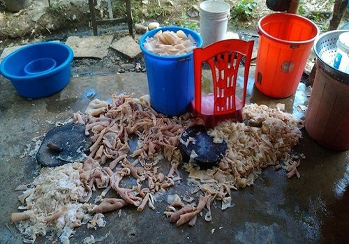 Cảm nhận về thực phẩm bẩn
