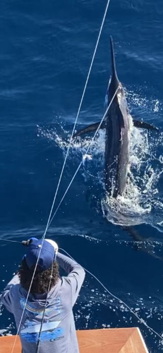 Marlin fishing near me