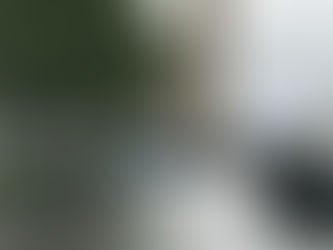 Sea Day and Bodø, Day 6