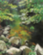 Secluded Brook by Dana Barunas $600