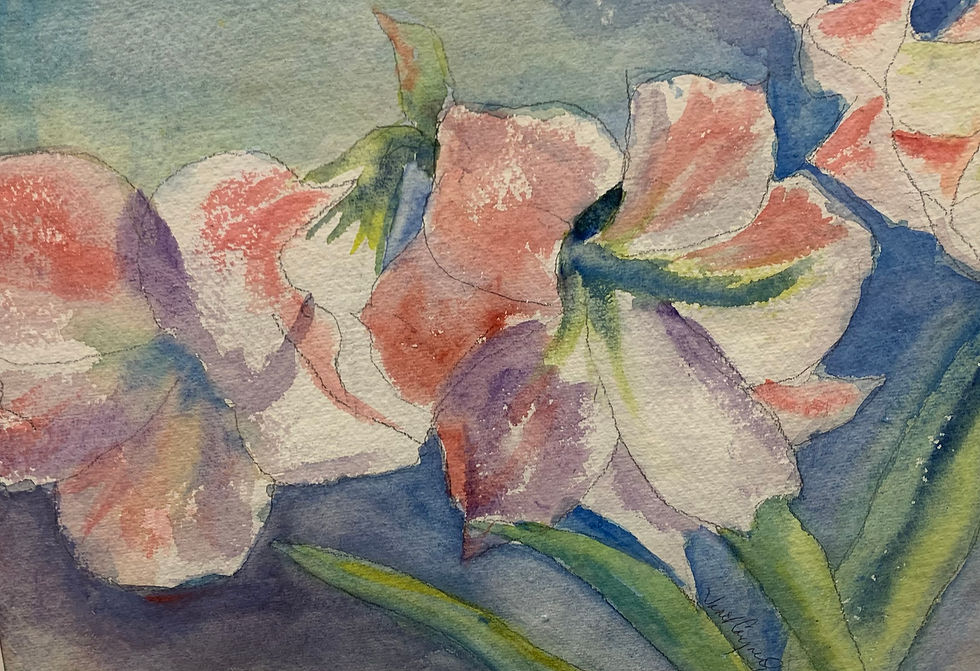 Amaryilis by Janet Cornacchio watercolor $175