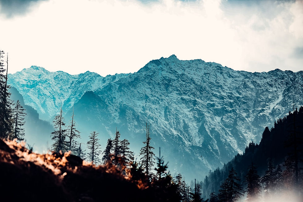 srinagar tour packages 2025 | Rs 8500/person | YATRA KING