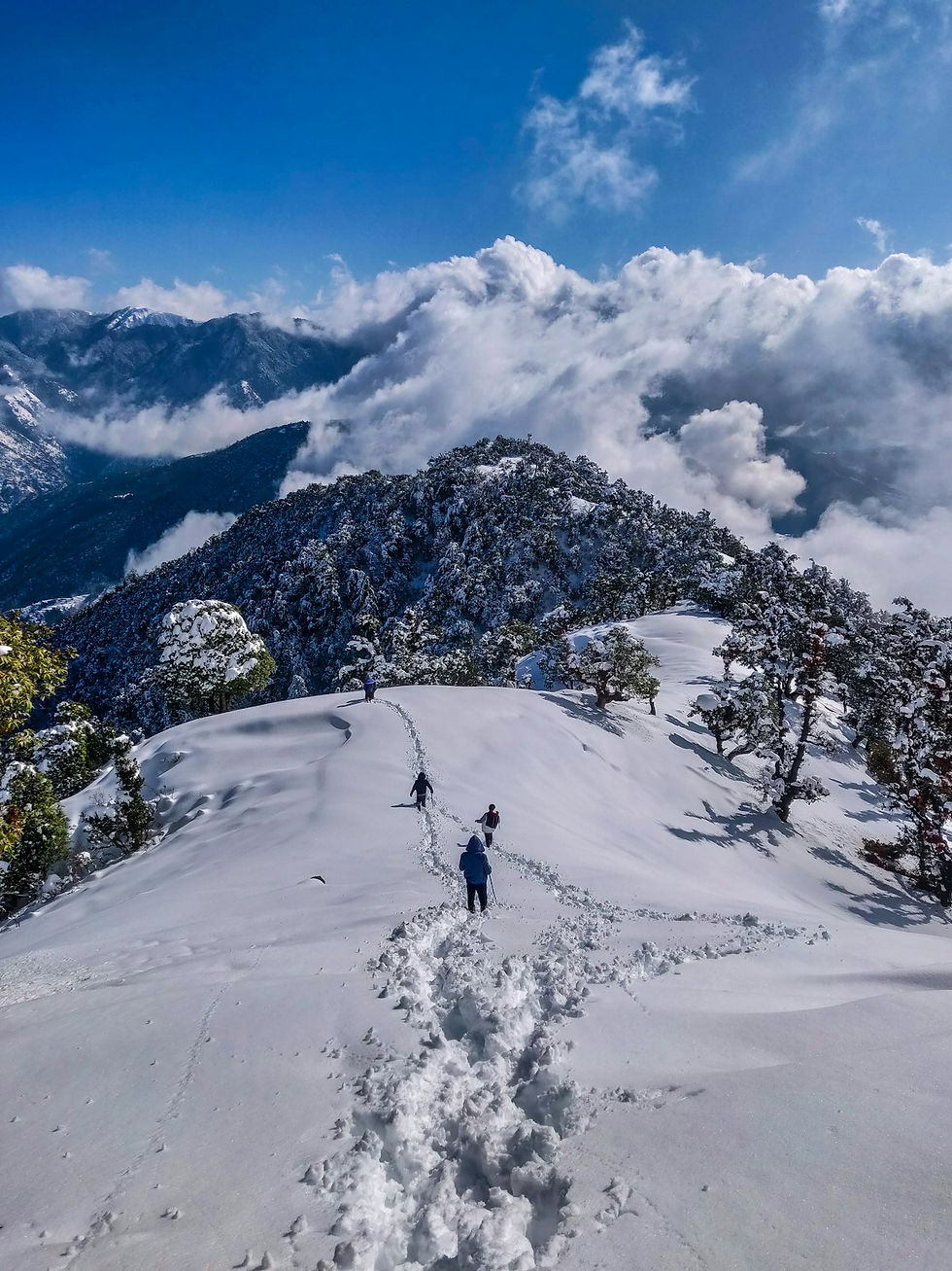 Manali 5N 6D College Group Tour Package — Best 6-Day Himalayan College Tour! | Yatra King