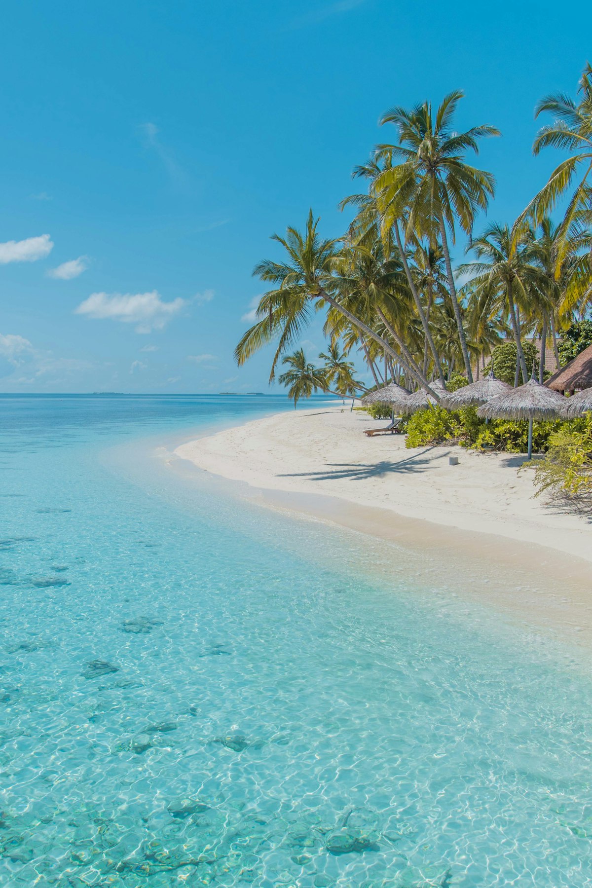Get the perfectGoa Tour Plan for 4 Days covering beaches, forts, nightlife & more. Packages from ₹7,499/person. Call Yatra King now: 7042094774 & get 50% off!
Get the perfectGoa Tour Plan for 4 Days covering beaches, forts, nightlife & more. Packages from ₹7,499/person. Call Yatra King now: 7042094774 & get 50% off!

