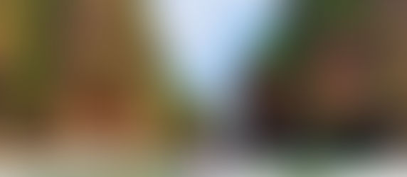 Best Goa Tour Packages 2025 | Flights, Hotels & Deals