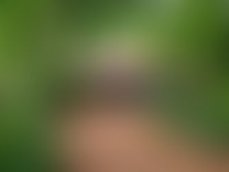 Goa Tour Package – Starts @ 4500 | Grab Deal Now