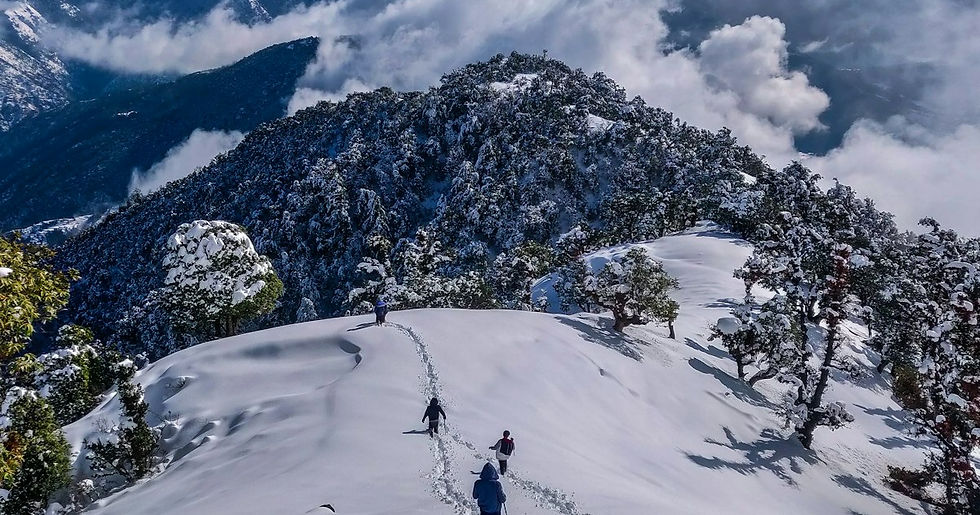 shimla from manali Yatra King 2025