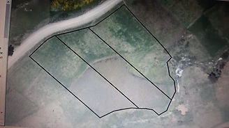 SUBDIVISION.jpg