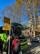 IMG_9873.JPG