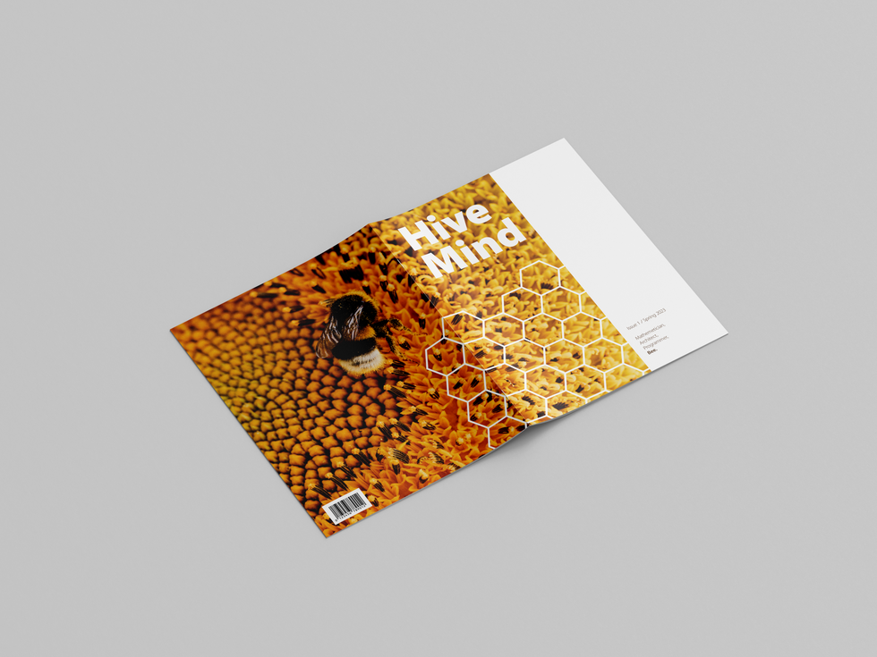 Cover2