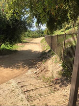 beautiful path pic.jpeg