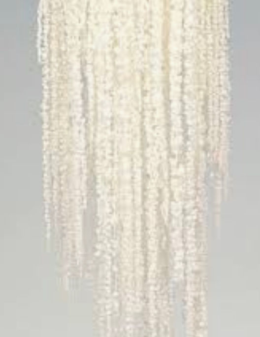 Amaranthus (All Year)