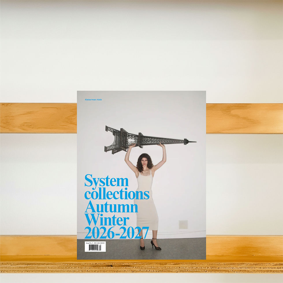 systemcollections-issue3-readingroom