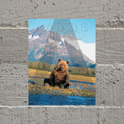 A Magazine Curated by Rodarte - Reading Room