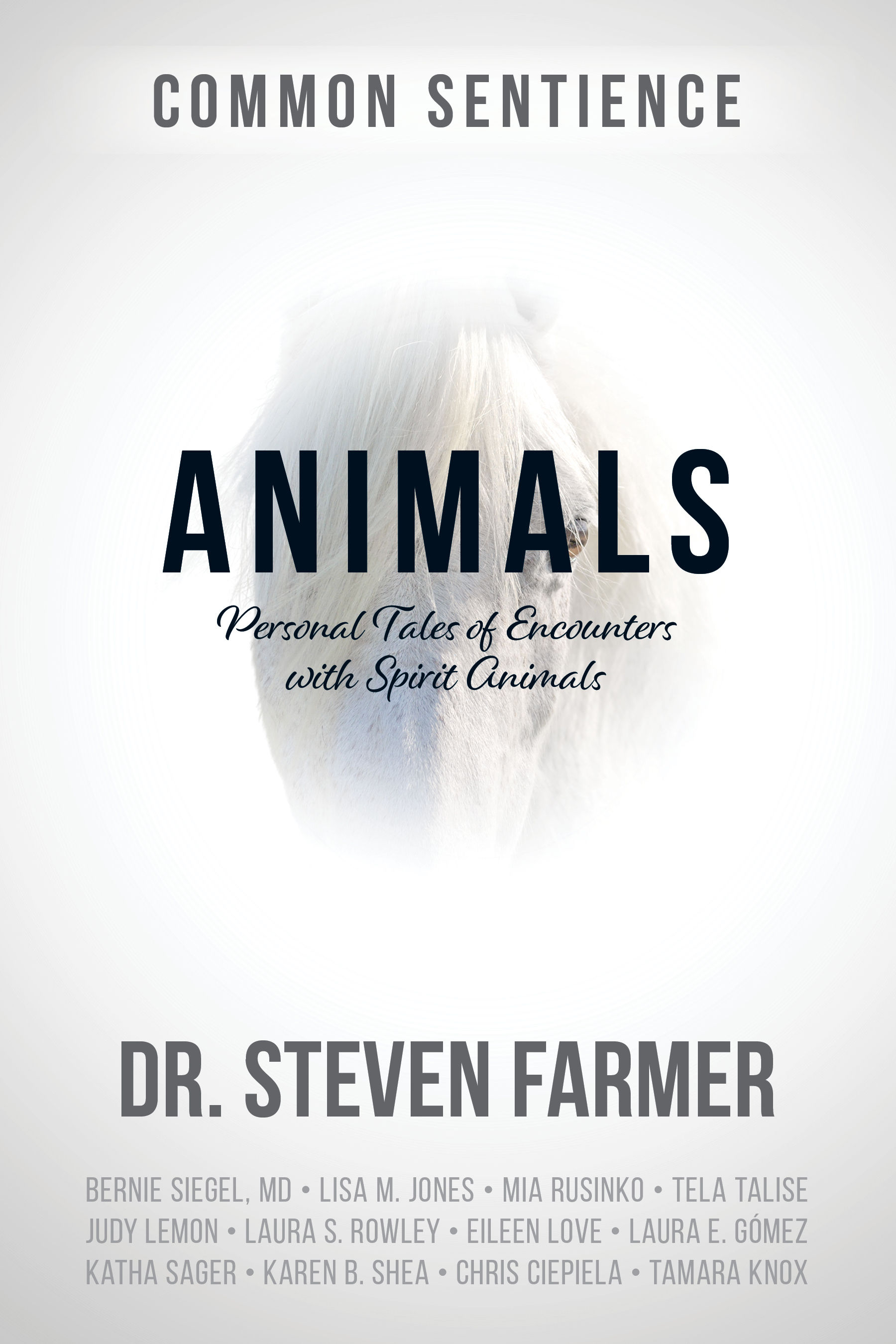Animals Book
