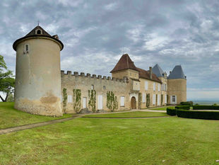 Château d’Yquem: An epic journey into the terroir of the golden nectar
