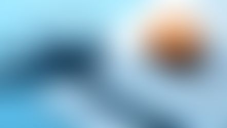 Strategic Pricing: The Art of Turning Perception into Profit