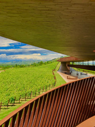 Antinori, Toscane, Italie