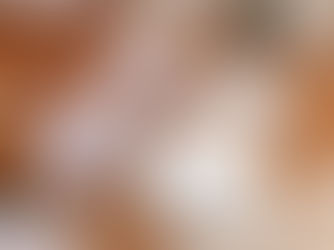 大容量ランチバッグ「プチボンボン」