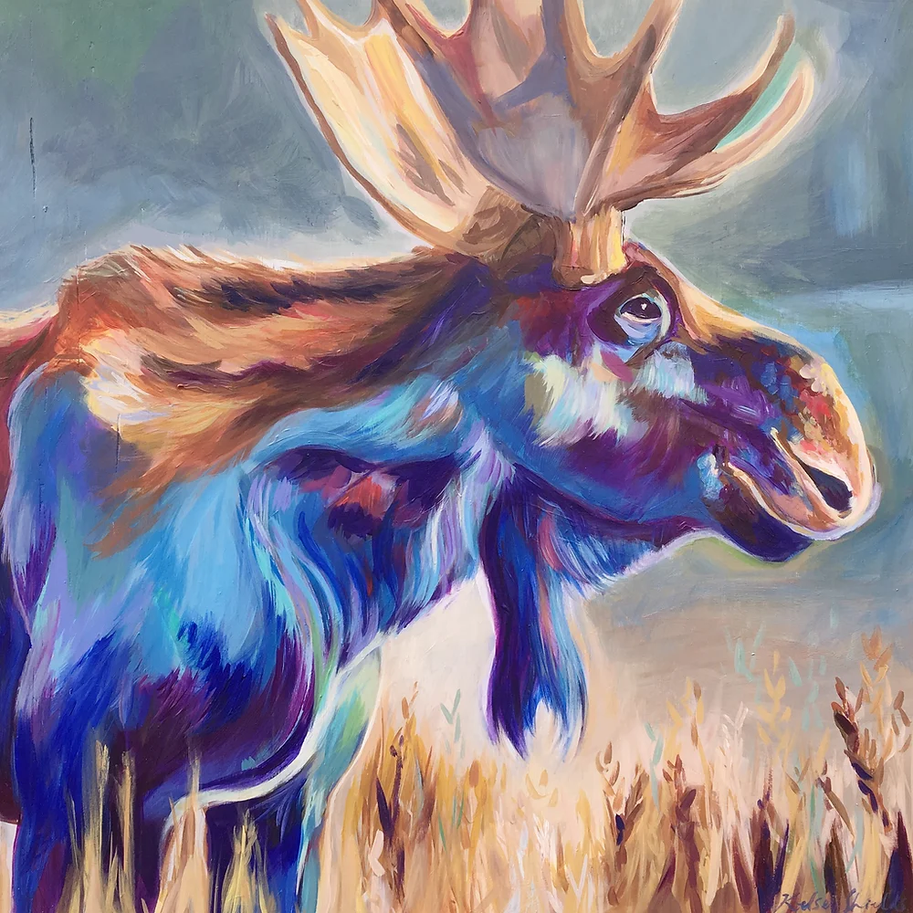 moose.webp