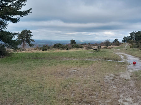 Ashdown Forest, East Sussex - Winter Walk - Circular
