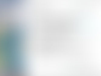 Maestría en Ciencias Politicas