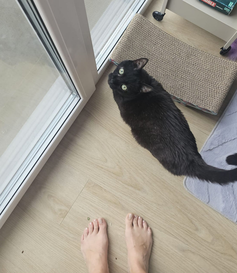 Must kass Miu vaatamas üles Silja Paulusele hommikul rõduukse juures: elu täis kohalolu ja rütmi