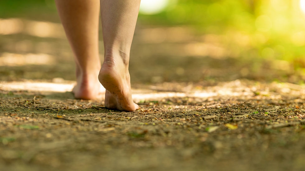 Grounding supports cellular health