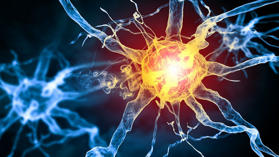 Understanding cell voltage, to harness their full potential.