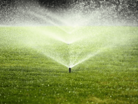 Why You Need to Conduct An Irrigation Audit