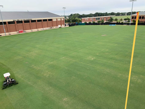 Natural or Synthetic Sports Fields?