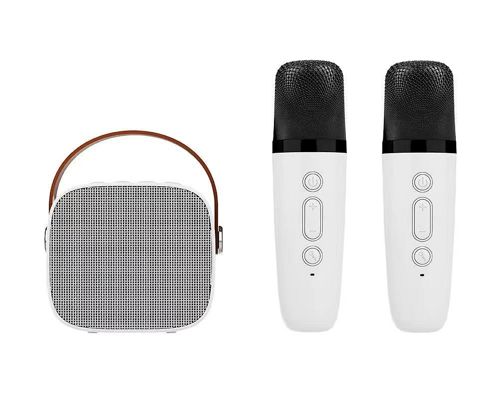 縮圖：藍牙音箱連麥克風套裝K1