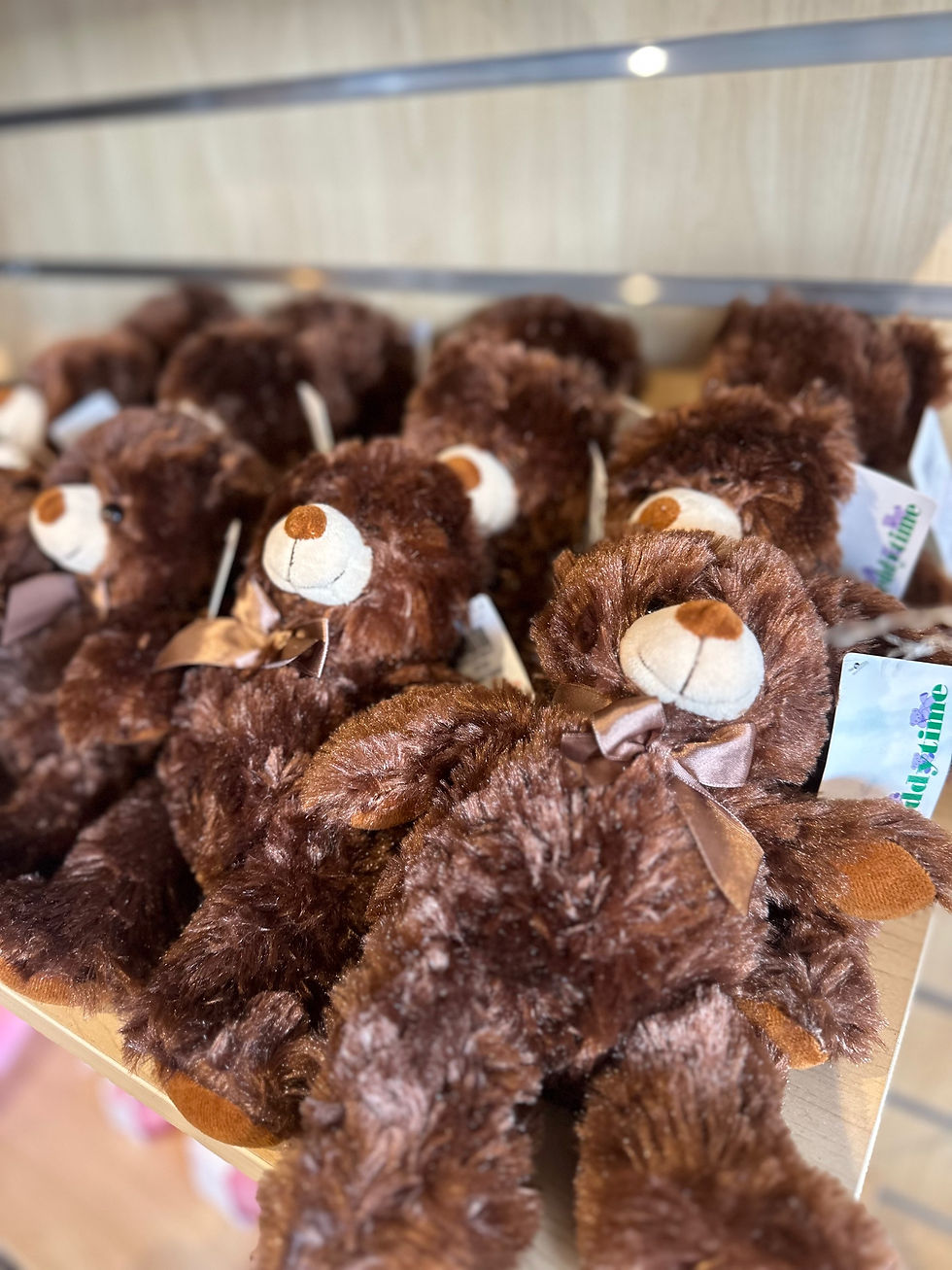 Thumbnail: teddy bear for delivery