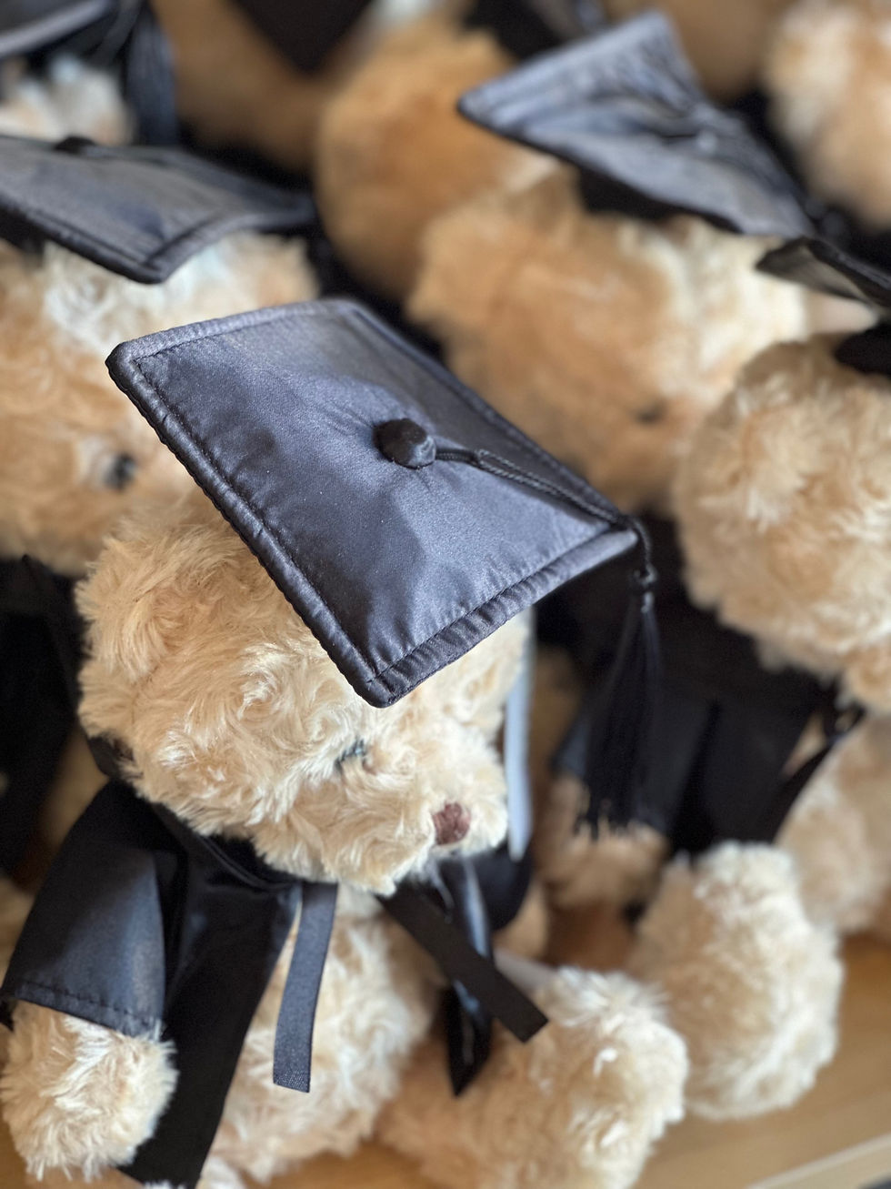 Thumbnail: brown teddy bear for graduation day in Auckland, gifts for UOA or AUT students