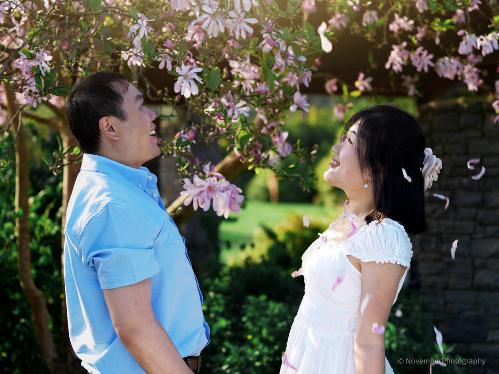 Proposal at Botanic Garden Auckland