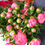 Thumbnail: Peonies for you