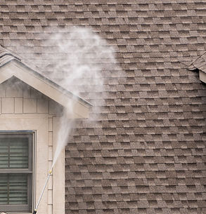 worker-ladder-pressure-washing-home-prior-painting copy.jpg