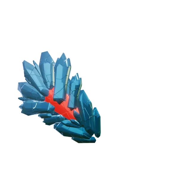 11.webp