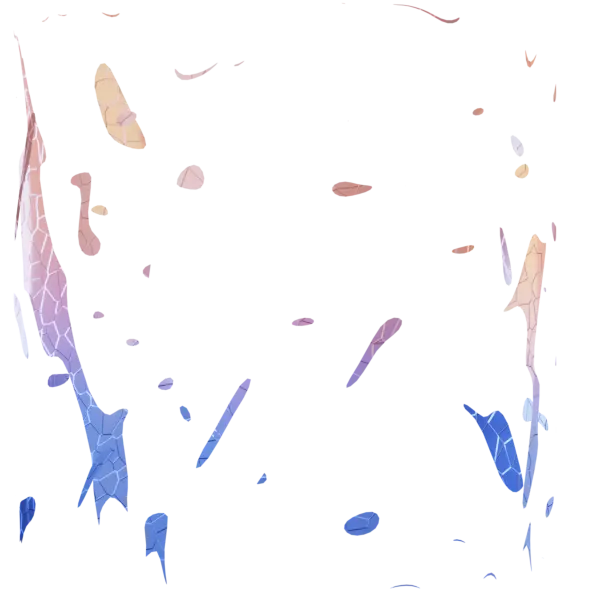 10.webp